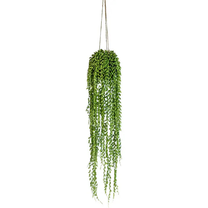 Ornamental Hanging String of Pearls Vine Arrangement - 74cm