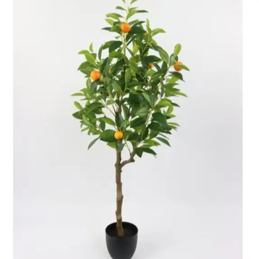 Large Ornamental Potted Orange Tree - 120cm