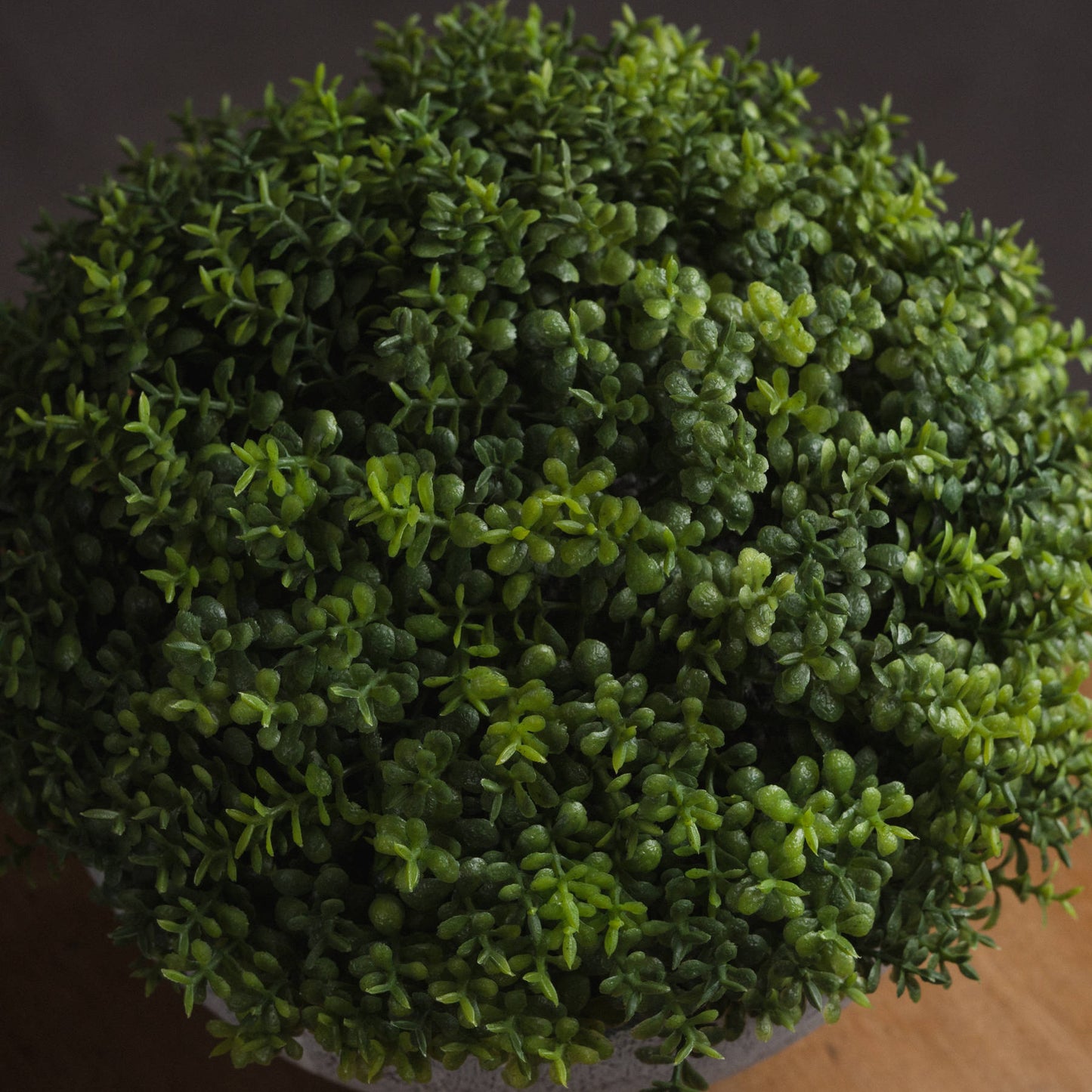 Small Hebe Globe Pot - 15cm