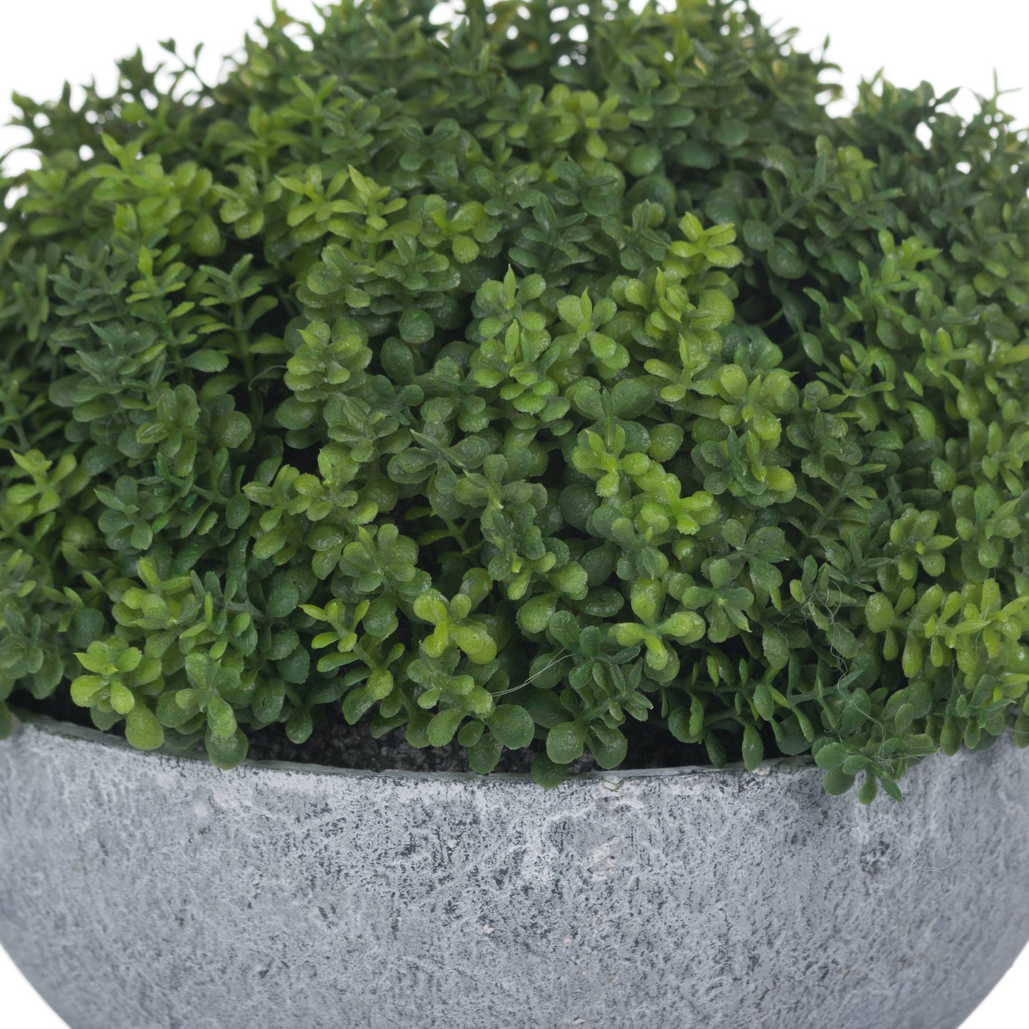 Small Hebe Globe Pot - 15cm