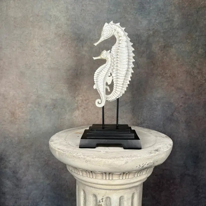 Pair of Seahorses