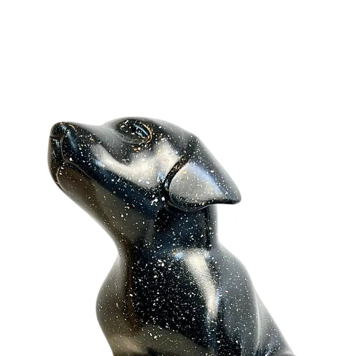 Cosmic Companion - 28cm