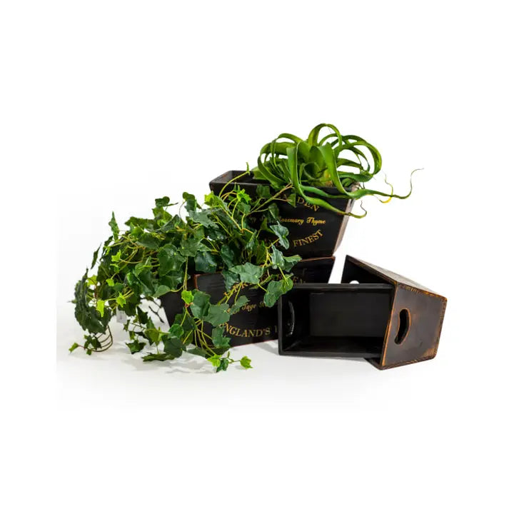 Set of 4 Antique Wooden Herb Garden Planters