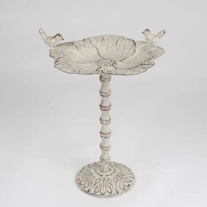 Bird Bath Flower - 20cm