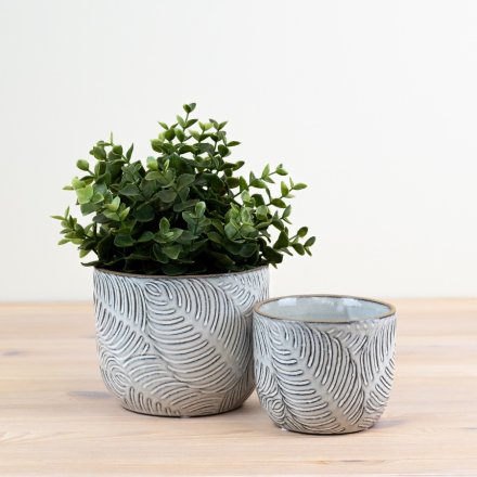 White Embossed Leaf Planter - 11cm