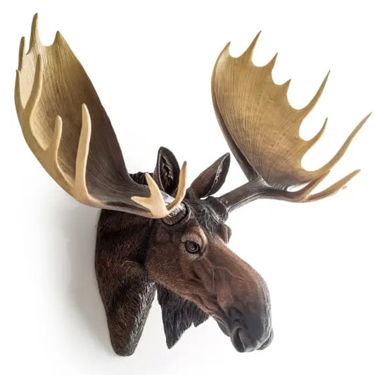 Large Moose Wall Head - 65cm