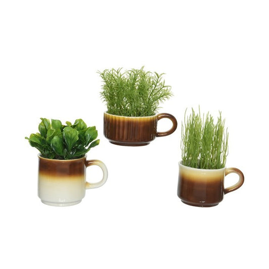 Miniature Succulents in Ceramic Mugs - Set of 3