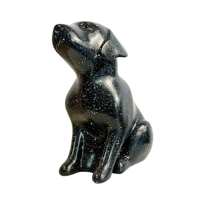 Cosmic Companion - 28cm