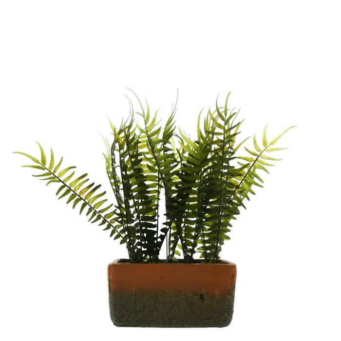 Large Artificial Fern in Cement Pot 38cm
