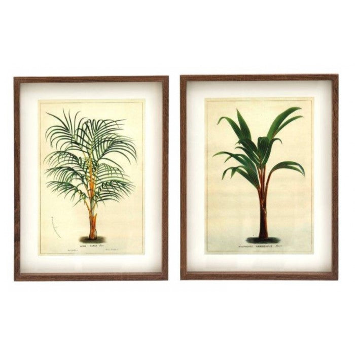 Vintage Style Framed Palm Tree Pictures - Set of 2 - 30x40cm