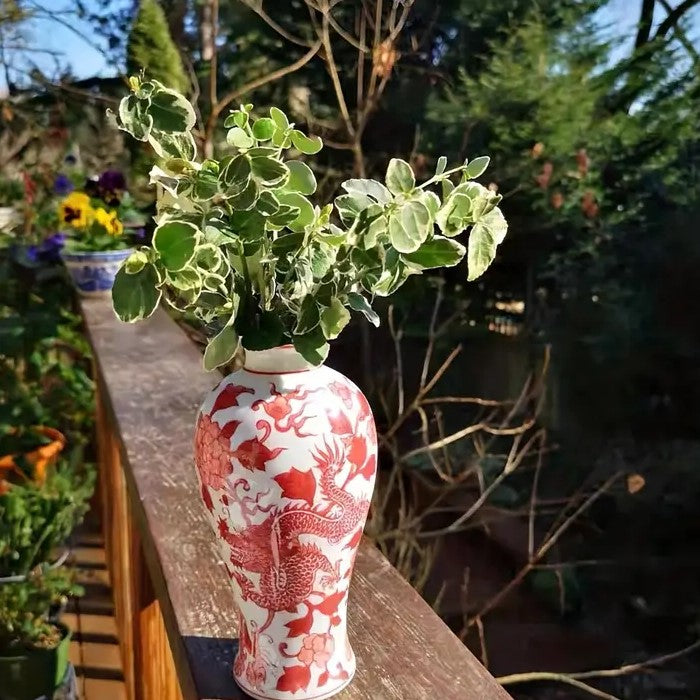 Oriental Ceramic Dragon Vase - 18cm