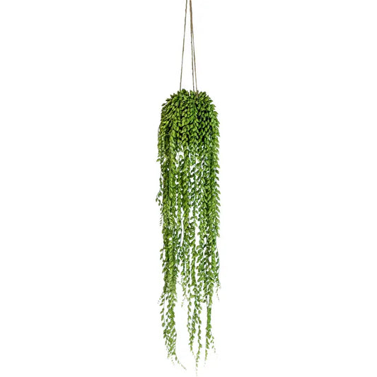 Ornamental Hanging String of Pearls Vine Arrangement - 74cm