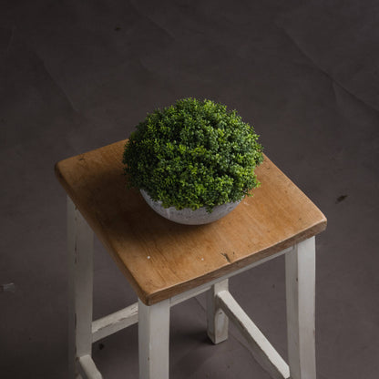 Small Hebe Globe Pot - 15cm