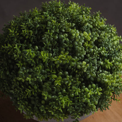 Small Hebe Globe Pot - 15cm