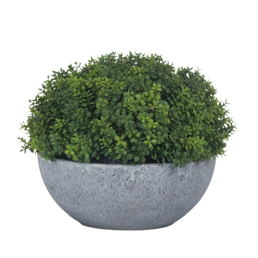 Small Hebe Globe Pot - 15cm