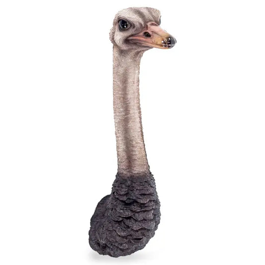 Ostrich Head Wall Figure - 70cm