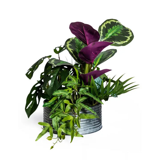 Ornamental Tropical Plant Arrangement in Tin Pot - 40cm