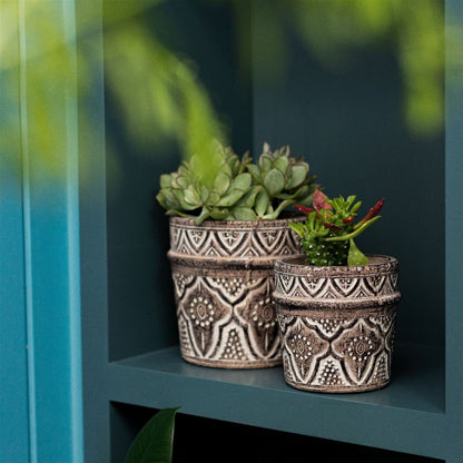 Amina Style Cement Planter - 14.5cm