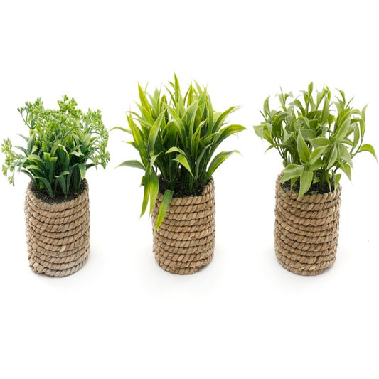 Artificial Woven Seagrass Succulents - Set of 3 - 10cm