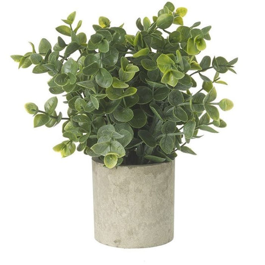 Artificial Eucalyptus in Stoneware Pot 19cm