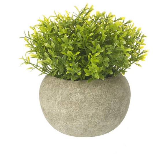 Artificial Green Foliage in Stoneware Pot 12cm