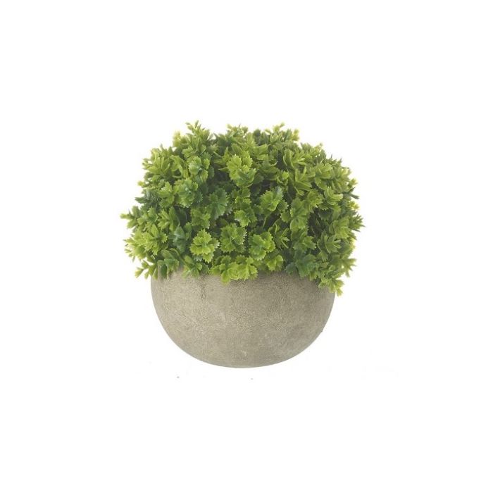 Artificial Green Foliage in Stoneware Pot 13cm