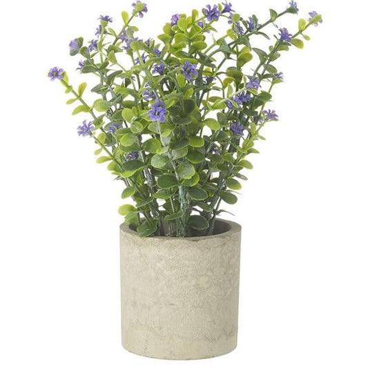 Artificial Purple Flowers in Stoneware Pot 19cm