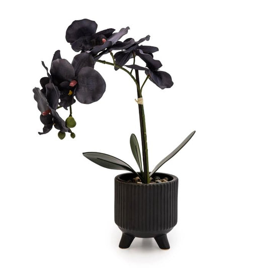 Black Artificial Orchid in Black Ceramic Footed Pot 42cm