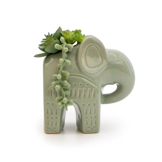 Artificial Succulent in Green Ceramic Elephant Pot 17cm