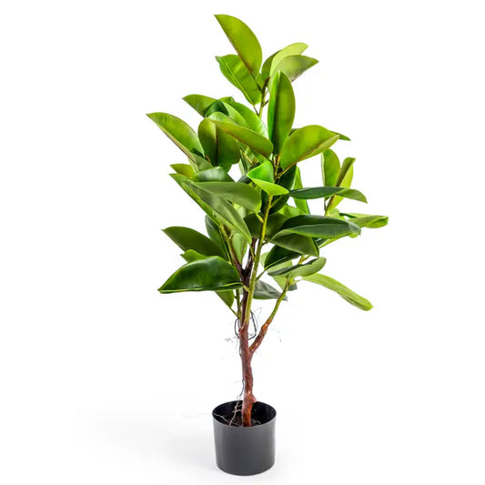 Small Potted Conifer Tree - 78cm