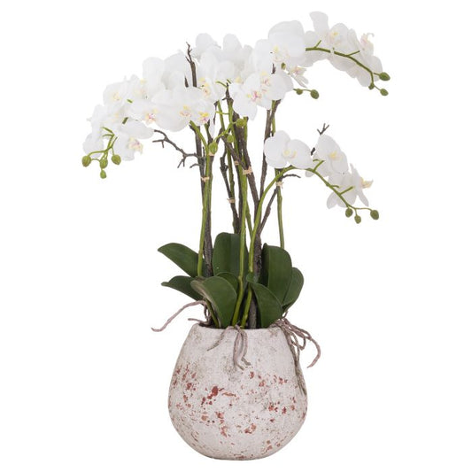 White Artificial Orchid In Stone Pot - 70cm