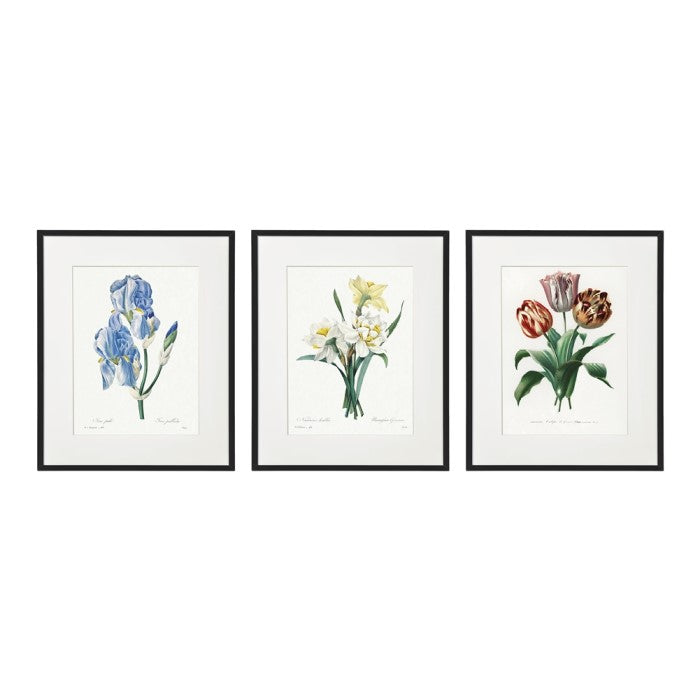 Floral Framed Picture Set - Set of 3 - 25cm