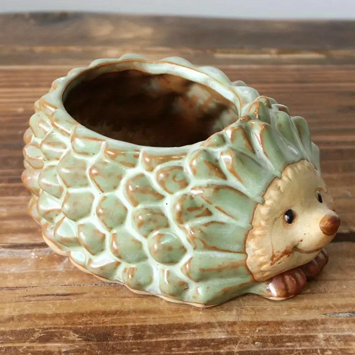 Green Hedgehog Ceramic Succulent Planter - 11cm