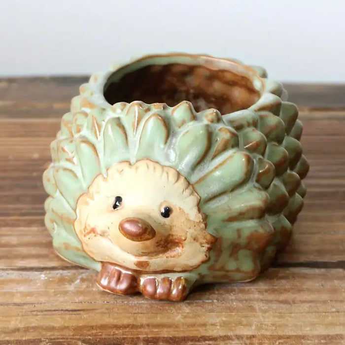 Green Hedgehog Ceramic Succulent Planter - 11cm