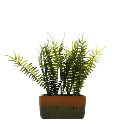 Large Artificial Fern in Cement Pot 38cm