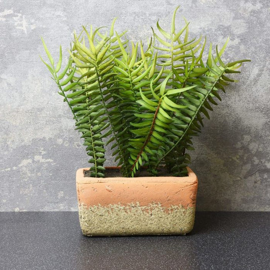 Large Artificial Fern in Cement Pot 38cm