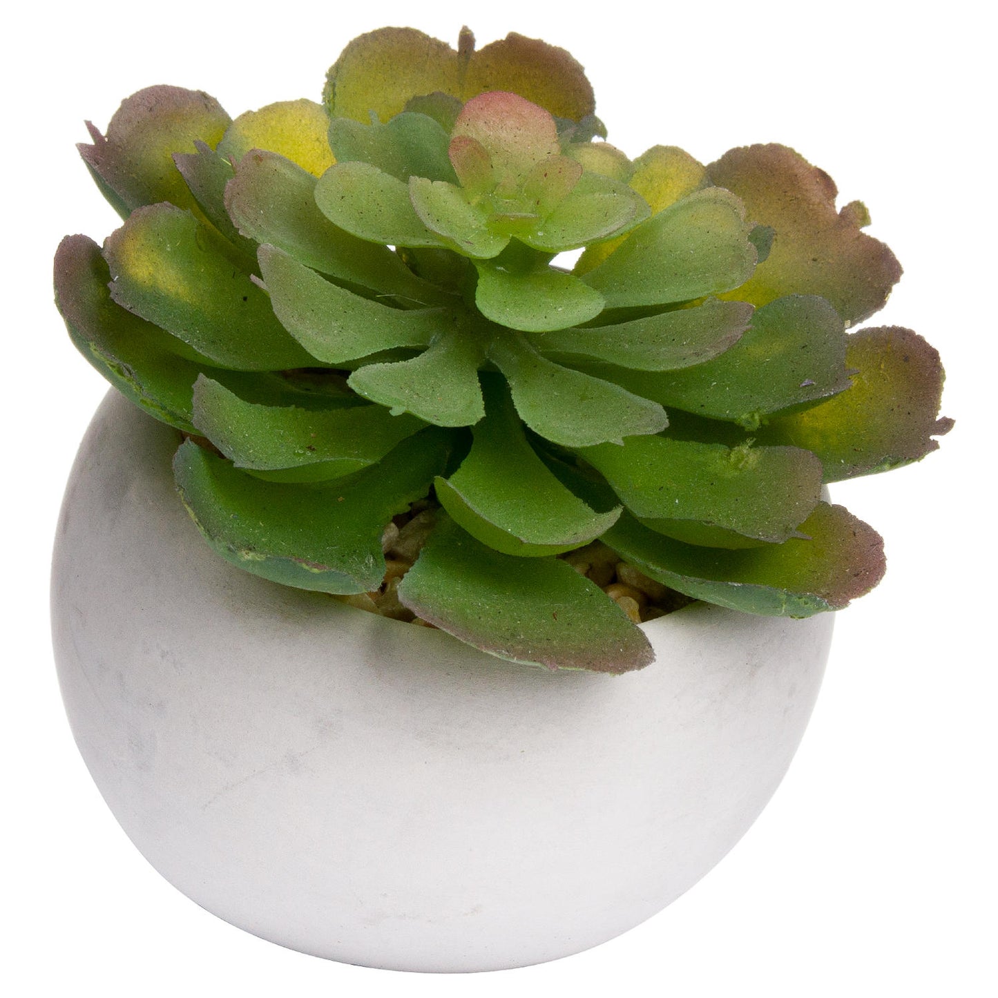 Mini Succulent In Cement Pot 7cm