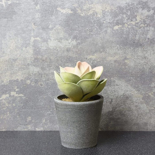 Open Artificial Flower Succulent in Grey Pot 15cm