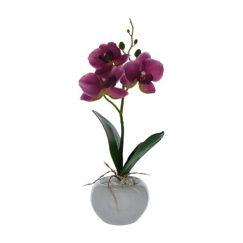 Tall Artificial Plum Orchid in Ceramic Pot 28cm