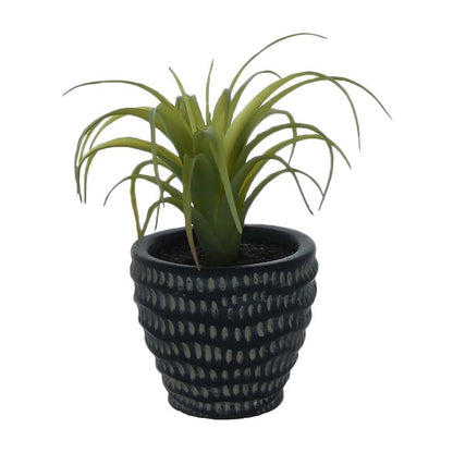 Artificial Sky Plant in Cement Planter 14cm