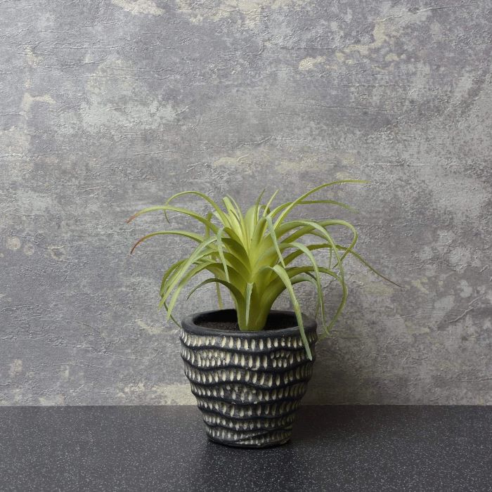 Artificial Sky Plant in Cement Planter 14cm