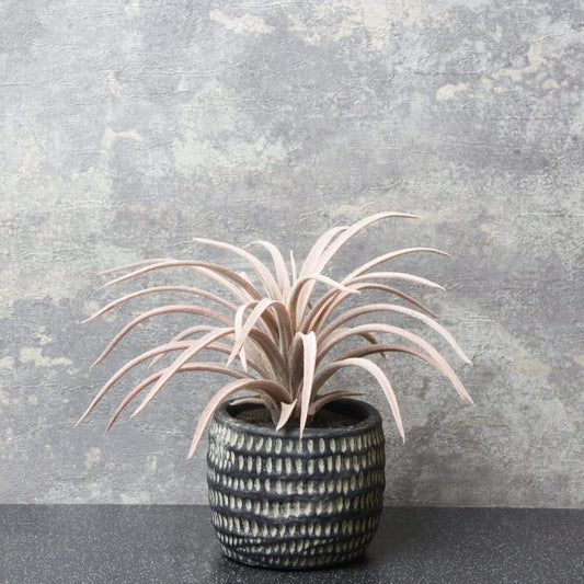 Artificial Purple Sky Plant in Cement Planter 17cm