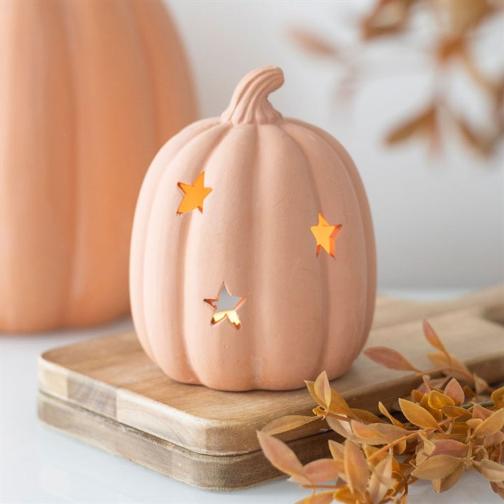 Terracotta Pumpkin Tealight Holder - 9cm