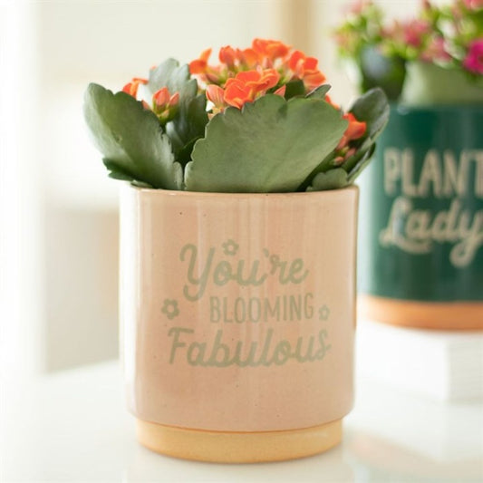 Cream Speckle "You're Blooming Fabulous" Plant Pot