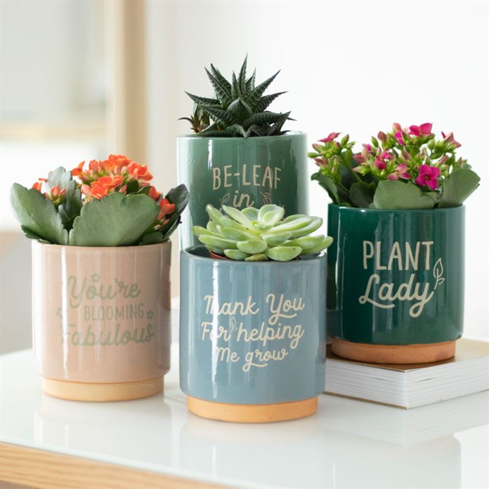 Cream Speckle "You're Blooming Fabulous" Plant Pot