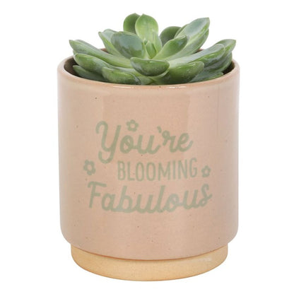 Cream Speckle "You're Blooming Fabulous" Plant Pot