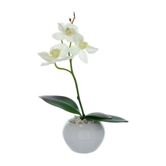 Tall Artificial White Orchid in Ceramic Pot 26cm